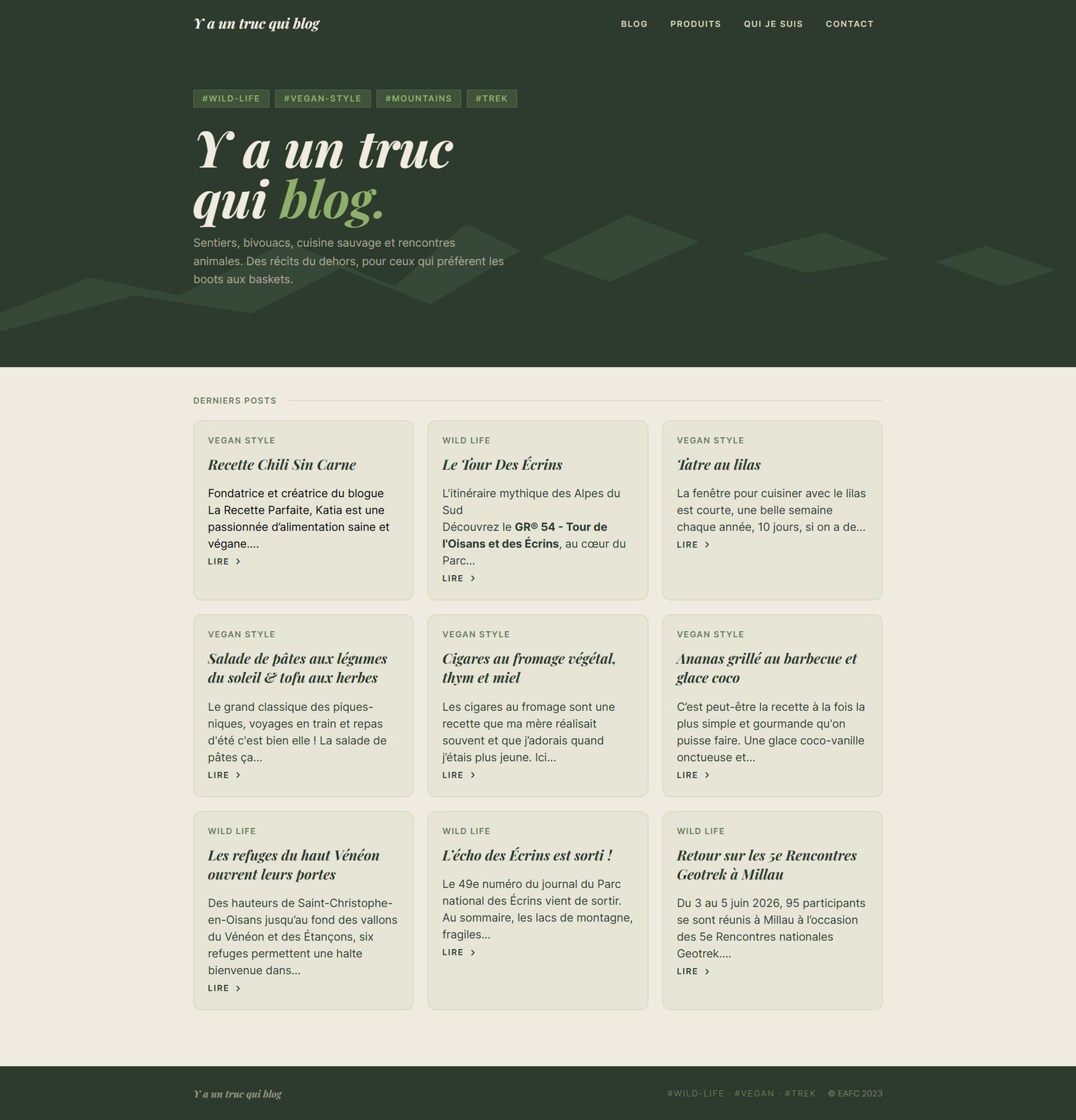 Projet Laravel/Voyager page d'accueil